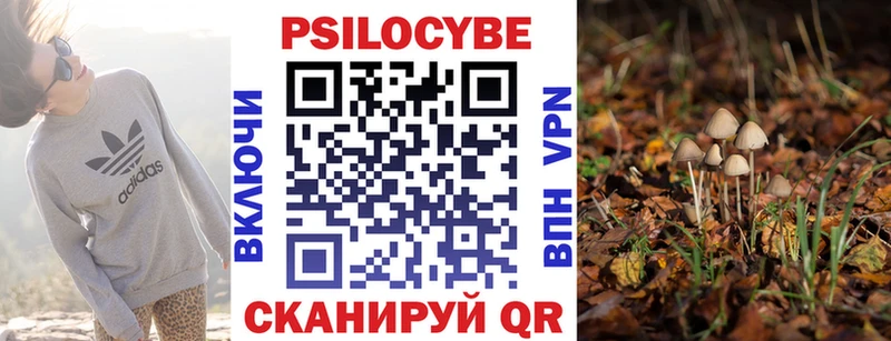 наркошоп  нарко площадка клад  Псилоцибиновые грибы Psilocybe  Артёмовск 